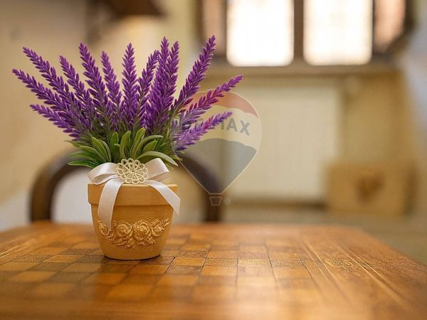 Appartamento Marino, RM Vendita