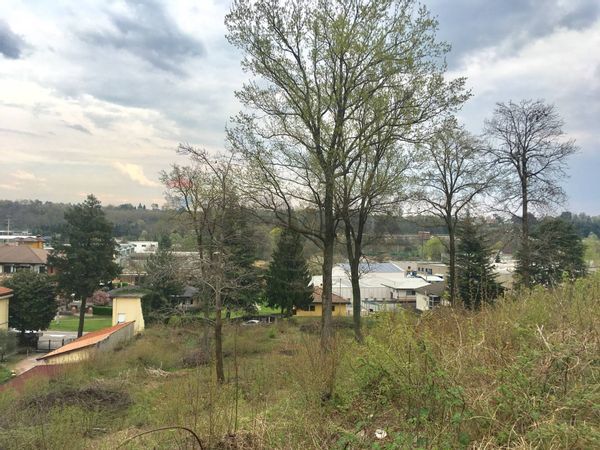 Terreno Edificabile Jerago con Orago, VA Vendita - Foto 2