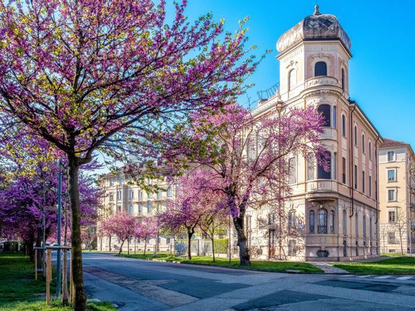 Attività  Commerciale Crocetta, Torino, TO Vendita - Foto 4
