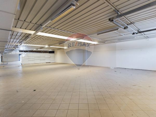 Negozio Portuense, Roma, RM Affitto - Foto 4