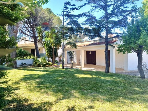 Villa singola Ostuni, BR Vendita