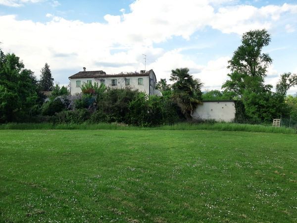 Terreno Edificabile Falzè di Piave, Sernaglia della Battaglia, TV Vendita - Foto 3