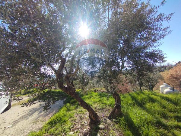 Casa Indipendente Campobasso, CB Vendita - Foto 4