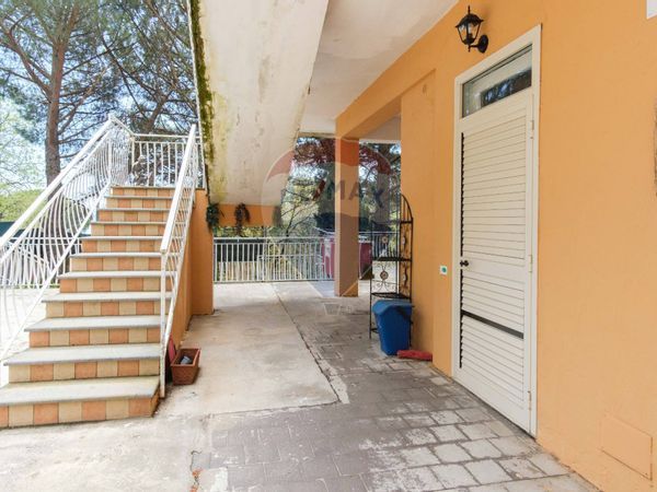 Appartamento Pedara, CT Vendita