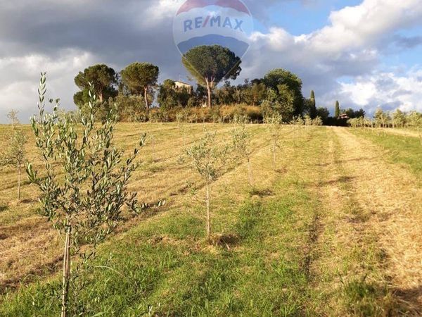 Cascina/Casale Zona Ospedale, Cesena, FC Vendita