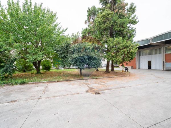 Capannone Industriale Roncadello, Casalmaggiore, CR Vendita - Foto 4