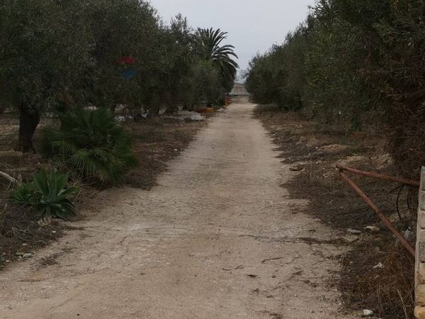 Terreno Sampieri, Scicli, RG Affitto