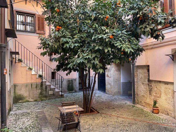 Appartamento Centro storico, Palermo, PA Affitto - Foto 2