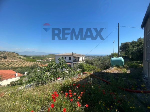 Villa o villino Corigliano-Rossano, CS Vendita - Foto 3