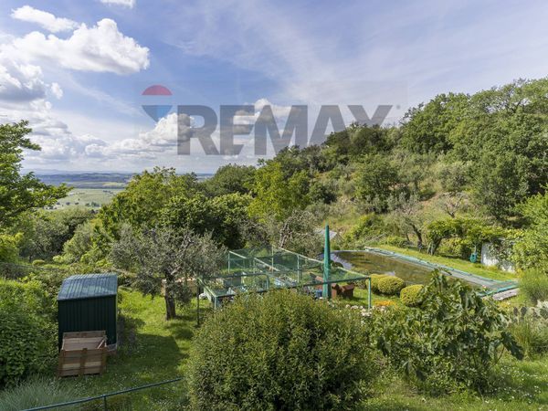 Villa singola Paciano, PG Vendita - Foto 4