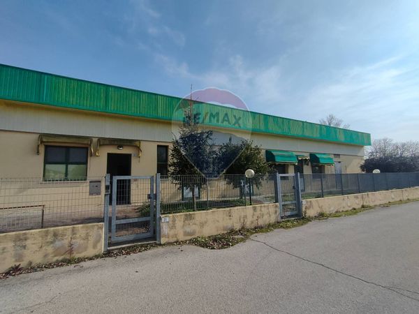 Capannone Industriale Tresignana, FE Vendita