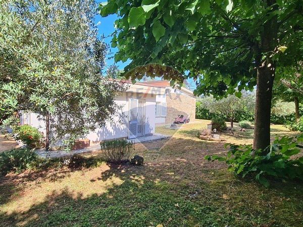 Villa singola Montelupo Fiorentino, FI Vendita - Foto 4