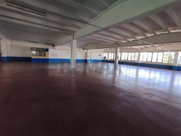 Locale Commerciale Porto Mantovano, MN Affitto - Foto 3