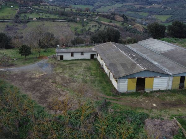 Terreno Celleno, VT Vendita - Foto 3