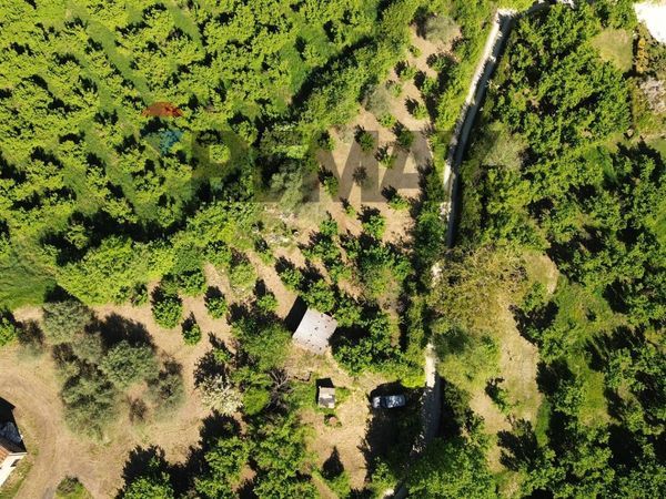 Terreno Vasanello, VT Vendita - Foto 4