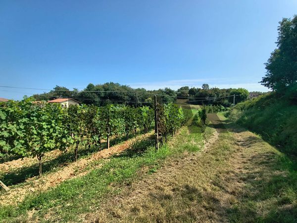 Terreno Edificabile Mura, Puegnago sul Garda, BS Vendita - Foto 4