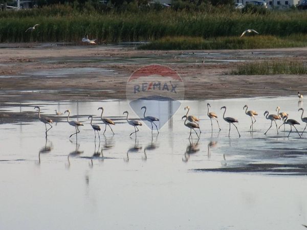 Appartamento Policoro, MT Affitto - Foto 2