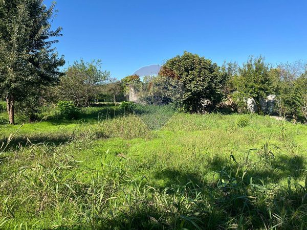 Terreno Edificabile Belgioioso, PV Vendita