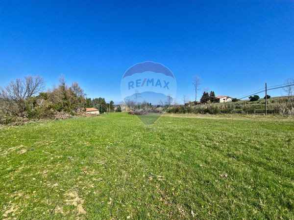 Terreno Edificabile San Marco Argentano, CS Vendita