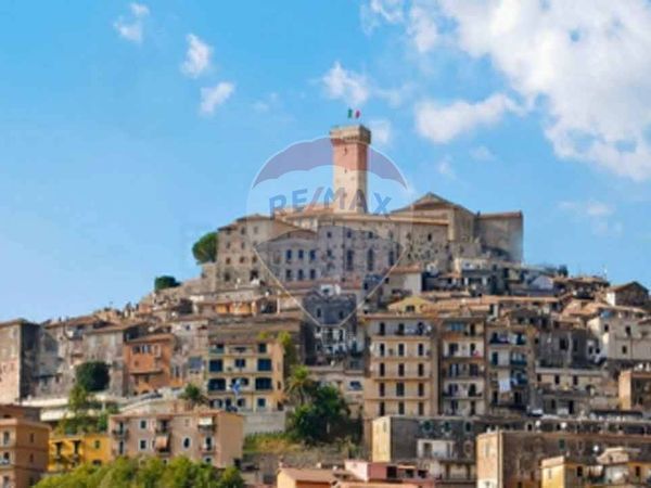 Locale Commerciale Monterotondo Paese, Monterotondo, RM Affitto - Foto 3