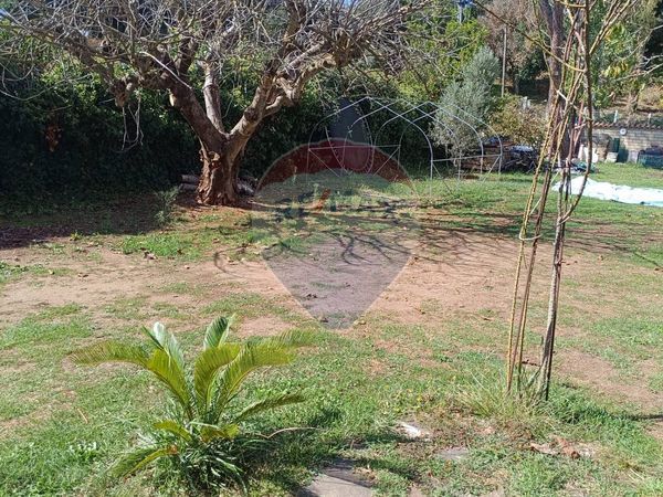 Villa singola Banditella, Ardea, RM Vendita - Foto 3