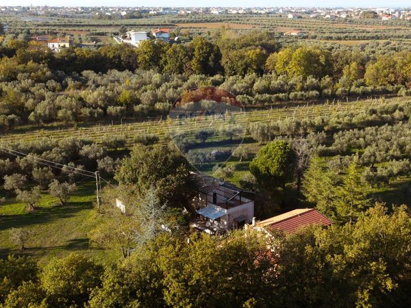Cascina/Casale Fossacesia, CH Vendita - Foto 4