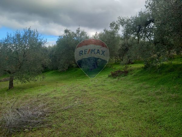Terreno Dolianova, SU Vendita - Foto 2