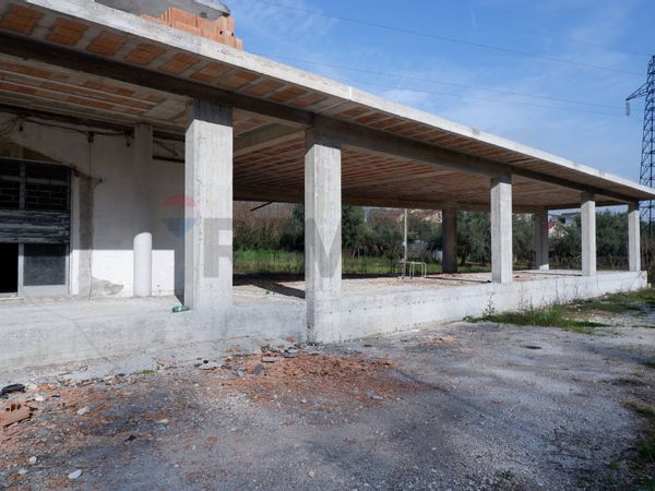 Locale Commerciale Calvi Risorta, CE Vendita - Foto 4