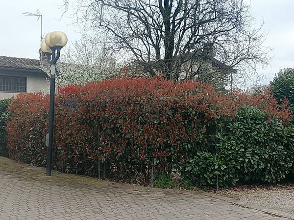 Villa a schiera Pavia, PV Vendita - Foto 4