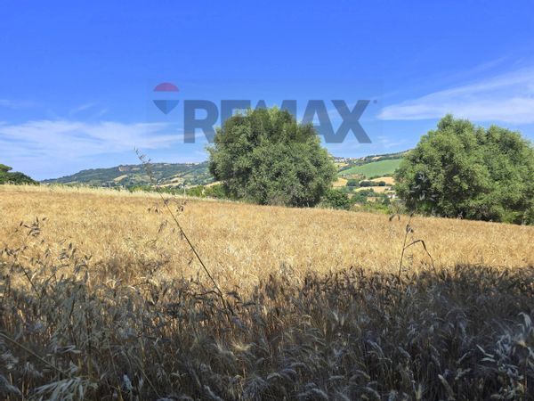 Cascina/Casale Montegranaro, FM Vendita - Foto 2