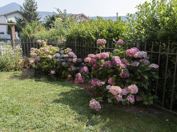 Appartamento Avigliana, TO Vendita - Foto 4