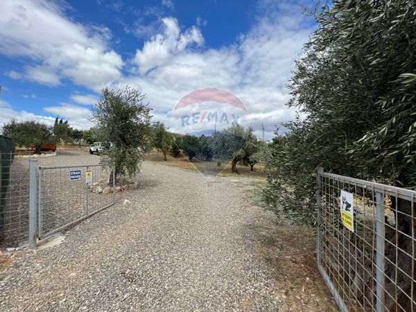 Villa singola Pisticci, MT Vendita - Foto 4