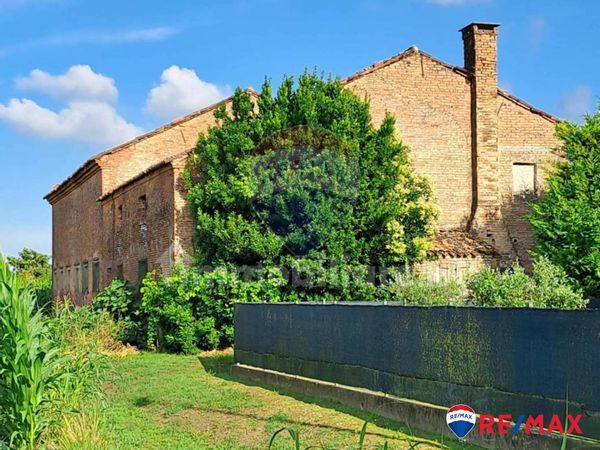 Azienda Agricola Conselve, PD Vendita - Foto 3