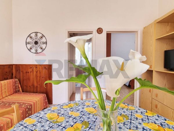 Appartamento Cecina Mare, Cecina, LI Vendita