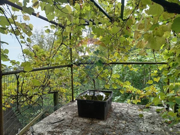 Terreno Cantalupa, TO Vendita