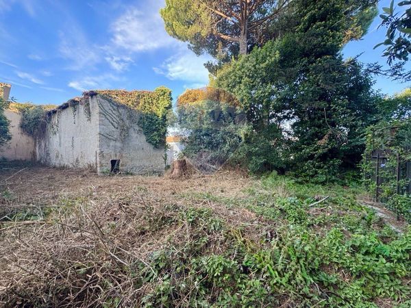 Rustico Manziana, RM Vendita - Foto 3