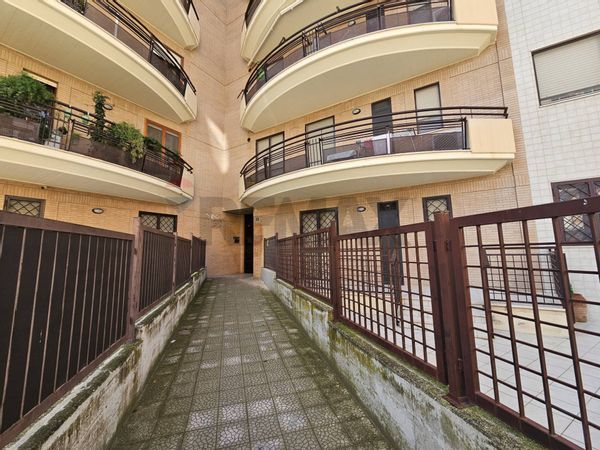 Appartamento Lucera, FG Vendita - Foto 2