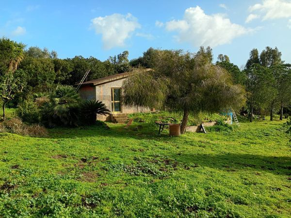 Rustico Sant'Antioco, SU Vendita - Foto 4