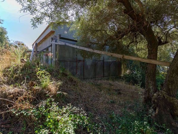 Nuove costruzioni Biancavilla, CT Vendita - Foto 4