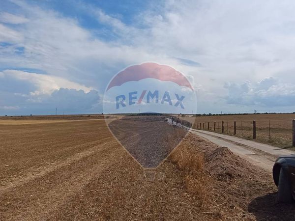 Terreno San Giovanni Rotondo, FG Vendita - Foto 2