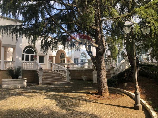 Ristorante Cassano delle Murge, BA Vendita - Foto 3