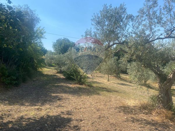 Cascina/Casale Monterosso Almo, RG Vendita - Foto 2