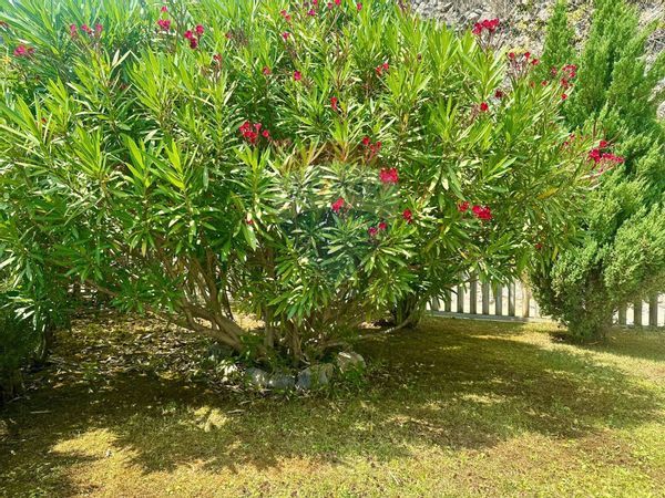 Appartamento Parzanica, BG Vendita - Foto 4