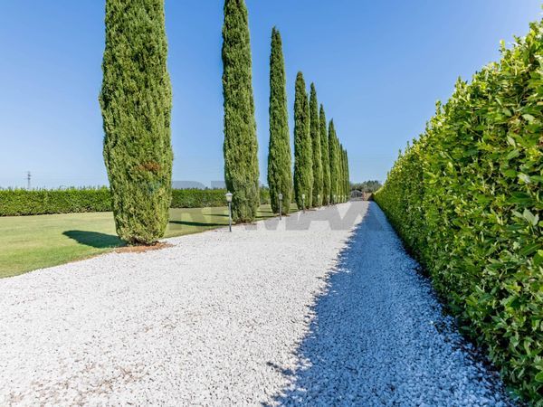 Villa singola Canino, VT Vendita - Foto 3