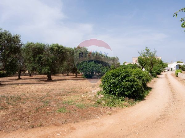 Cascina/Casale Mesagne, BR Vendita - Foto 2