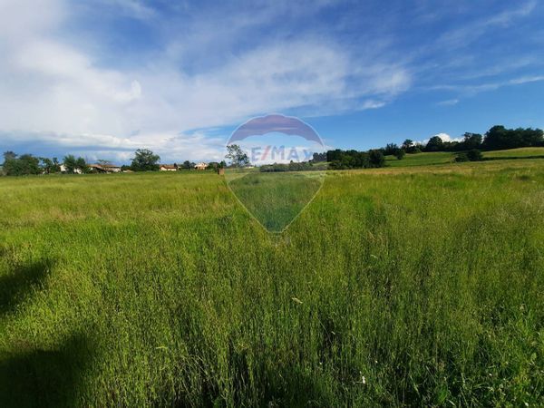 Terreno Pecetto di Valenza, AL Vendita - Foto 2