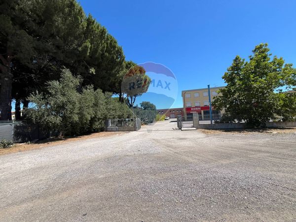 Locale Commerciale Albinia, Orbetello, GR Affitto - Foto 4