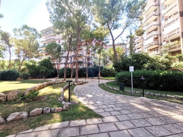 Appartamento Picone, Bari, BA Affitto - Foto 3