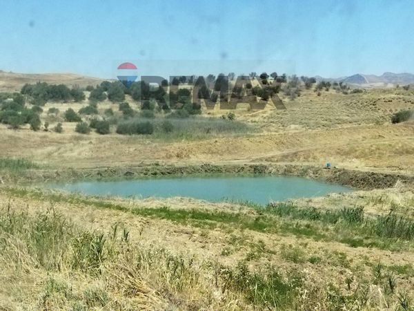 Terreno Centuripe, EN Vendita - Foto 4