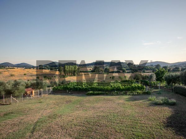 Villa singola Sambuco, Bracciano, RM Vendita - Foto 3